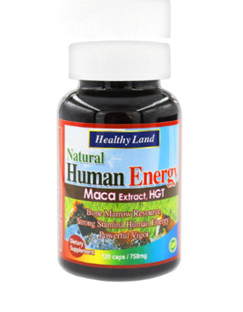 [HL502] Human Energy