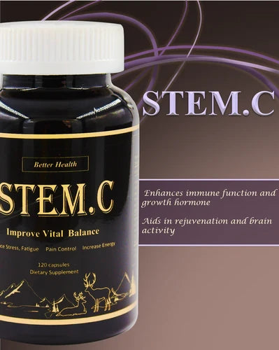 [HL101] Stem. C Wild Ginseng