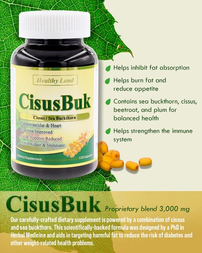 [HL703] Fat Burn CisusBuk